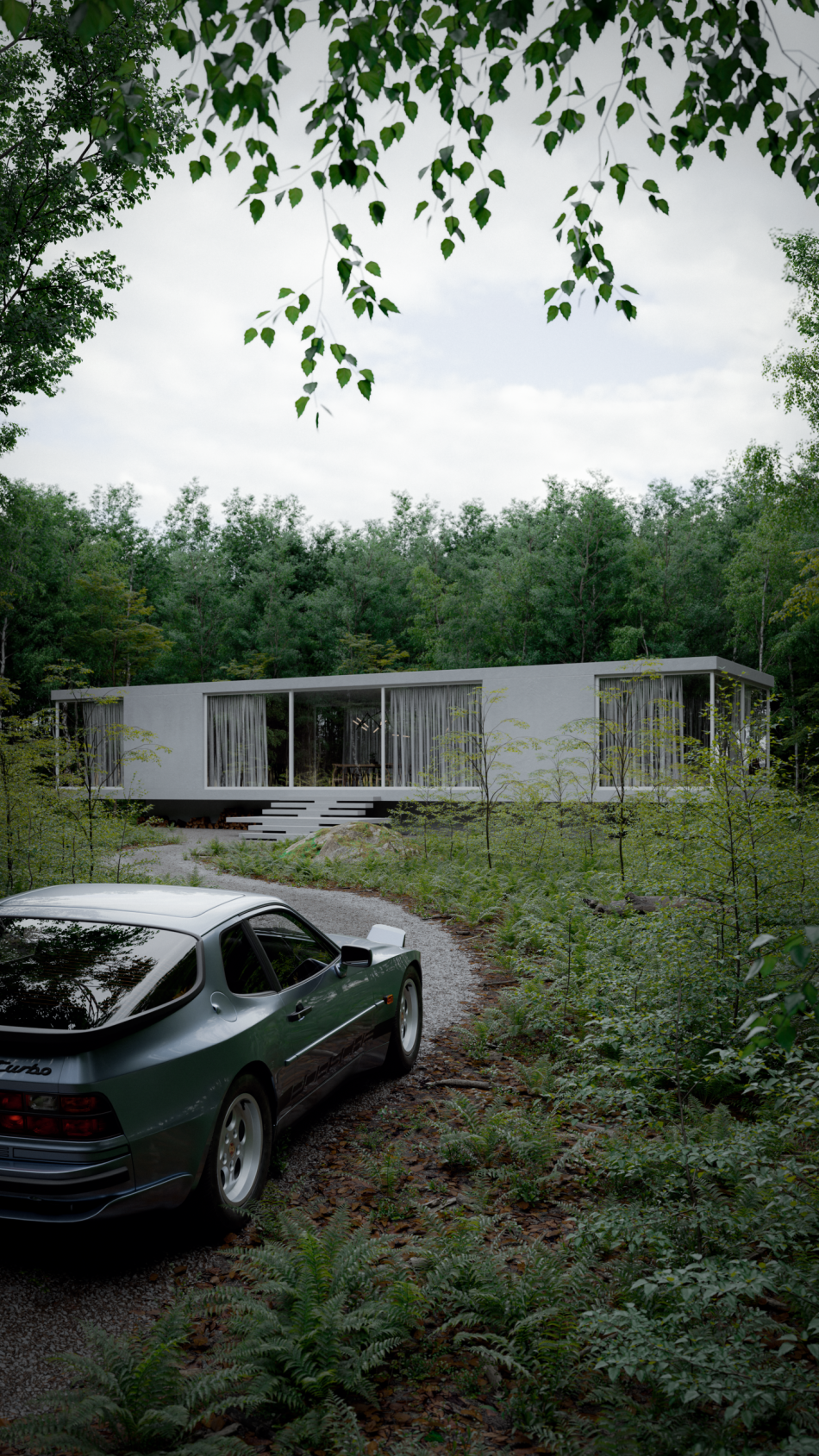 Silence Between Trees